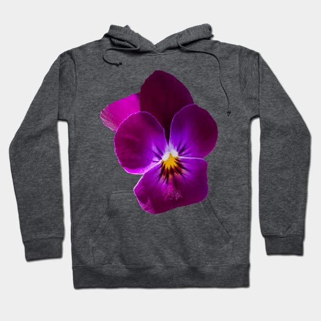 Purple Violet Flower Hoodie by ellenhenryflorals